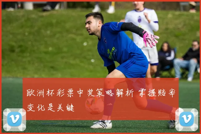欧洲杯彩票中奖策略解析 掌握赔率变化是关键
