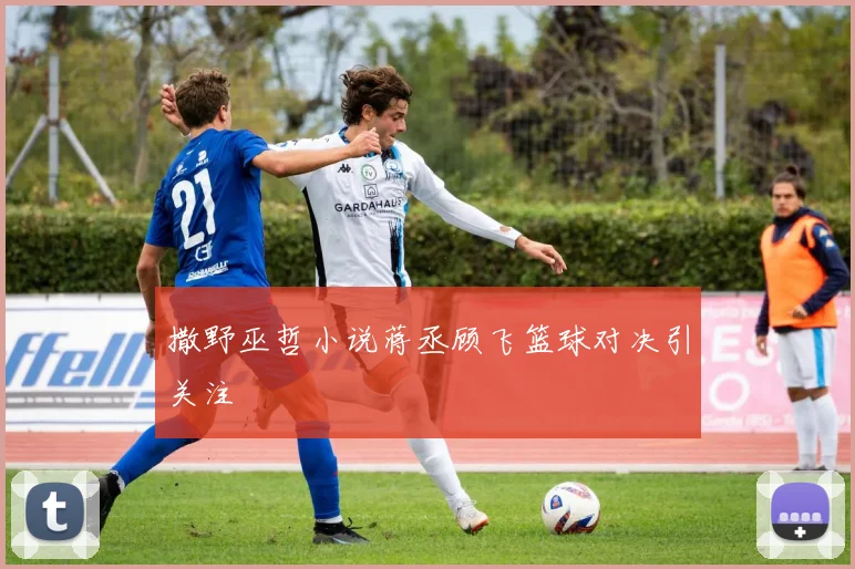 撒野巫哲小说蒋丞顾飞篮球对决引关注
